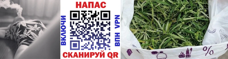 Шишки марихуана ГИДРОПОН  купить закладку  Москва 